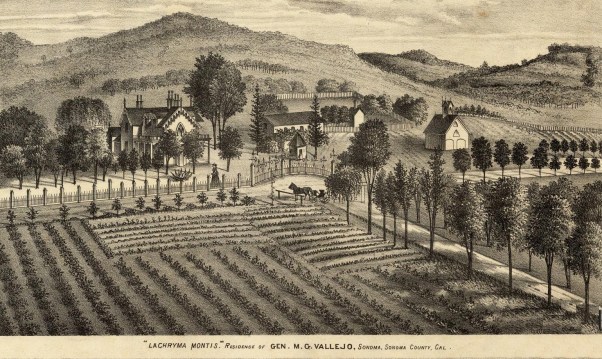 monitini_overlook_vallejo