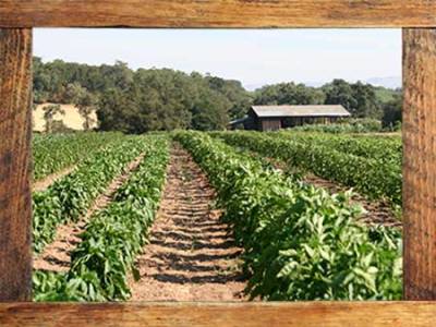 home_slideshow_1_0