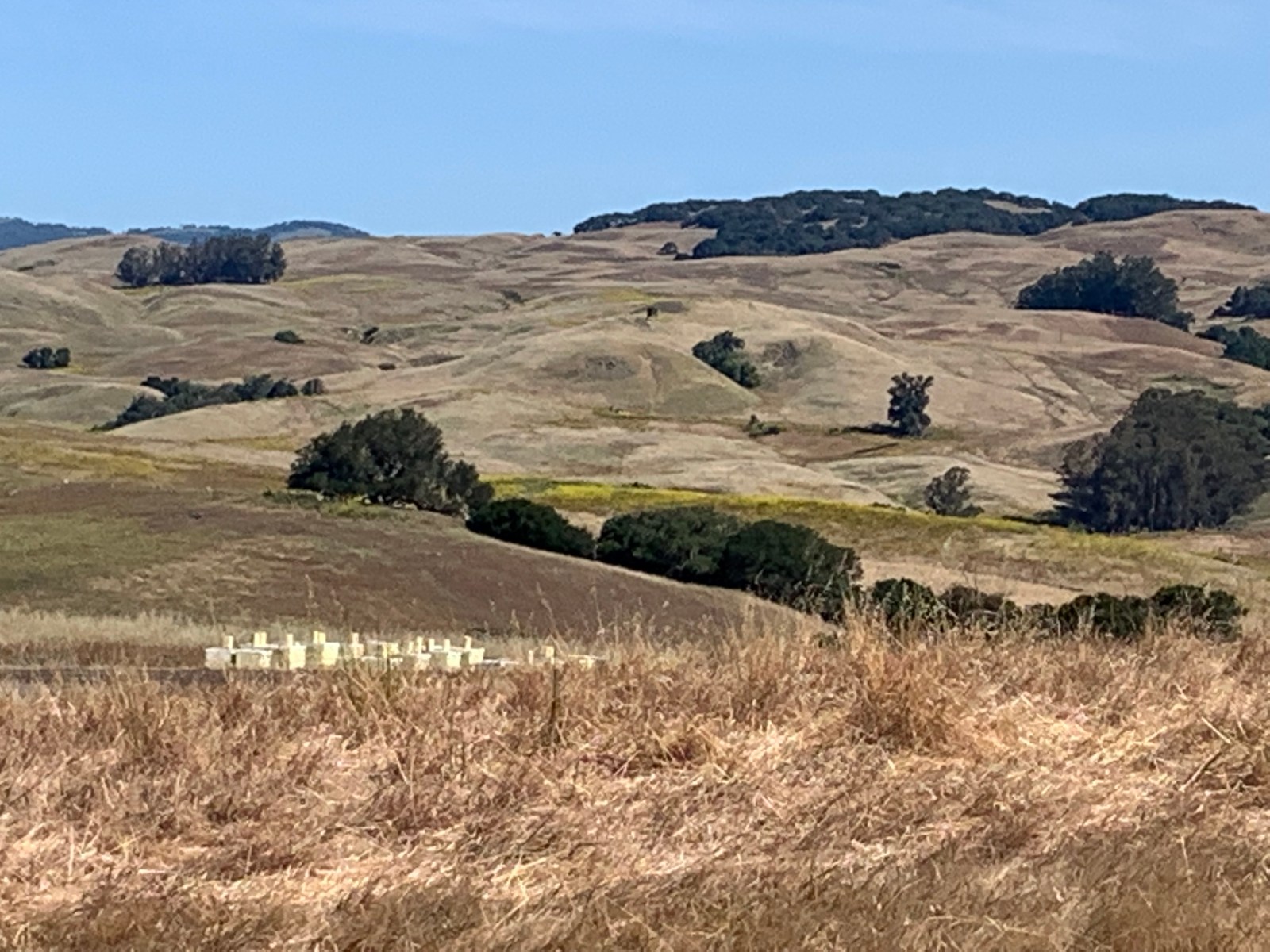 Sonoma County Hills