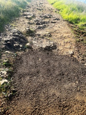 Photo of a before section and an after.