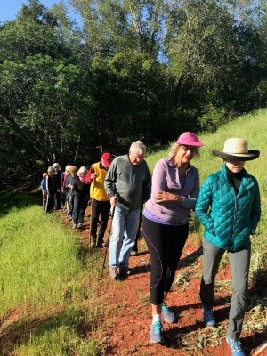 Wednesday Walkers